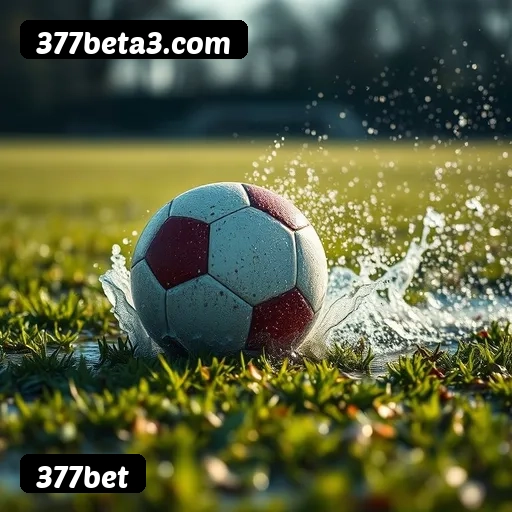 Requisitos do APK da 377bet para Android