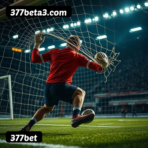 Estatísticas de bônus da 377bet em São Paulo, Rio de Janeiro e Brasília