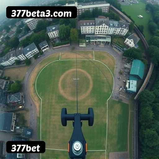 377bet APP mobile iOS Android - 187 mil downloads São Paulo Rio BH