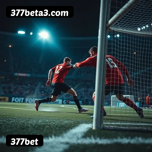 Níveis do programa VIP da 377bet